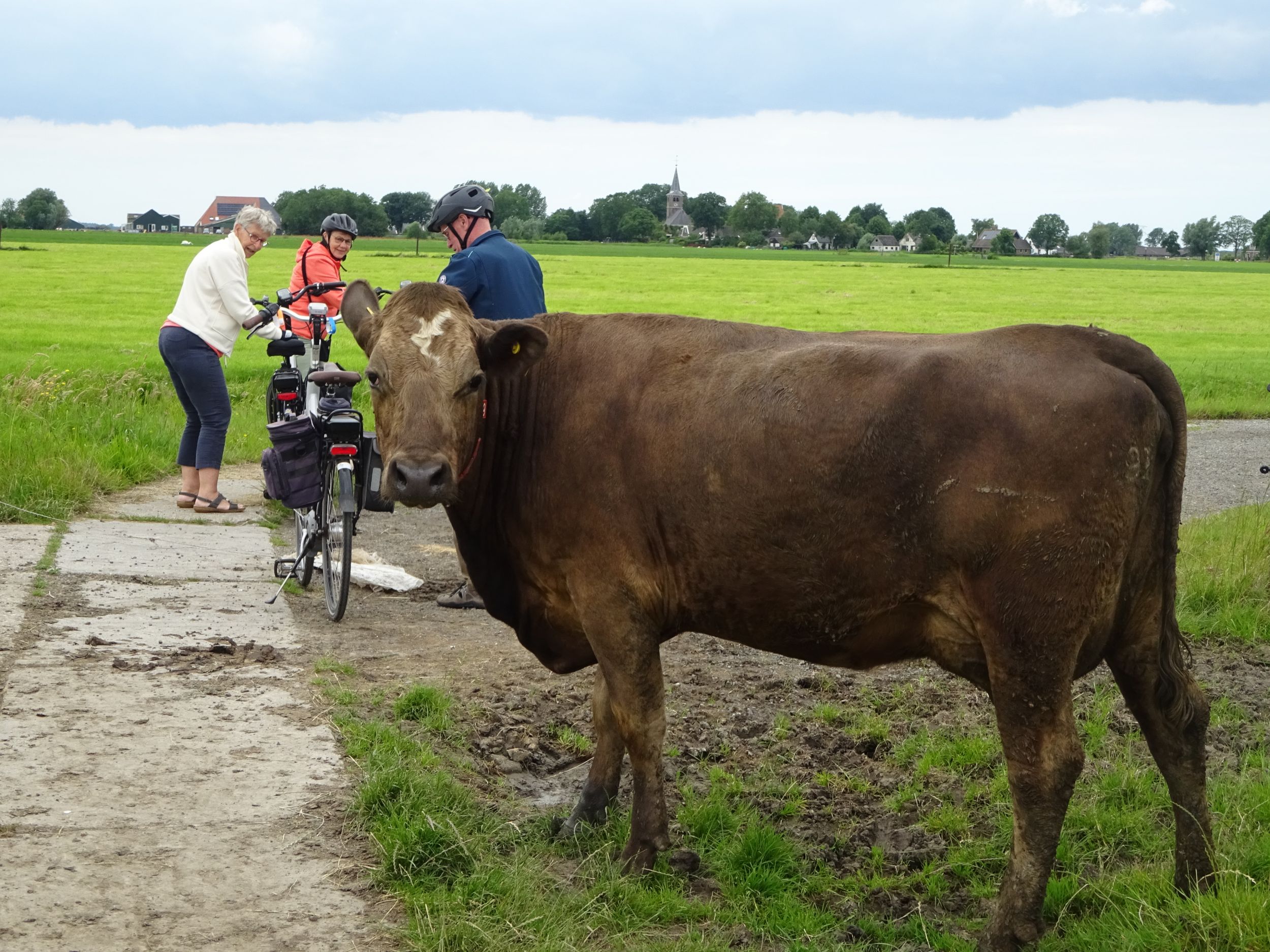 Geslaagde fietstocht met Duitse gasten uit Ost-Friesland